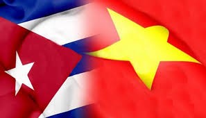 President meets overseas Vietnamese, former Cuban experts in Vietnam - ảnh 1